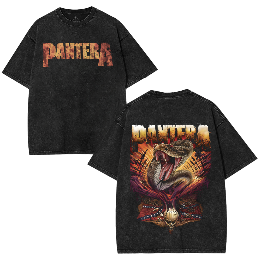 antera 2025 Thrash Metal Texas Punk